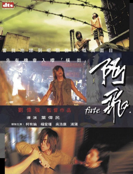 阿飞（2008年叶伟民执导的剧情电影）
