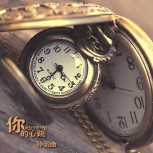 你的心跳（孙羽幽演唱的歌曲）
