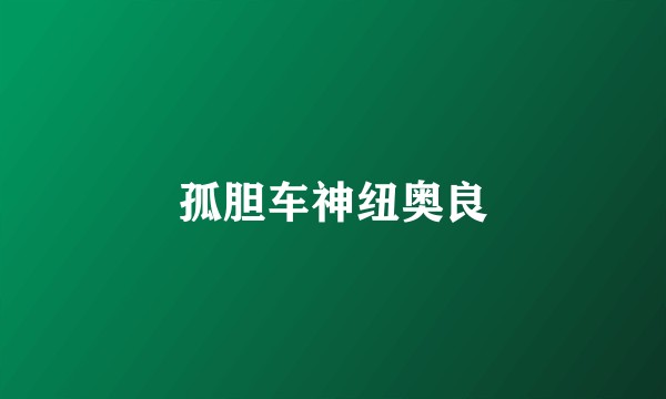 孤胆车神纽奥良