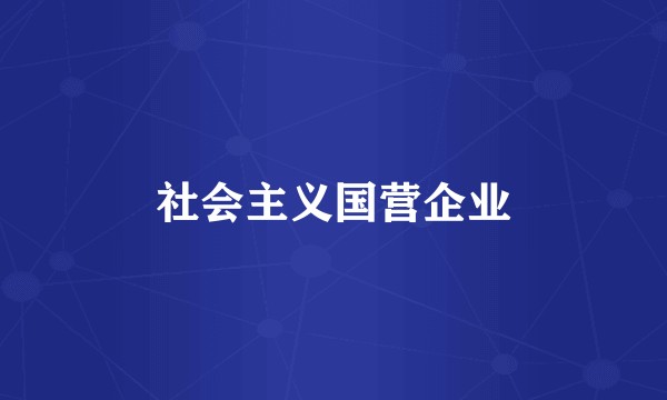社会主义国营企业