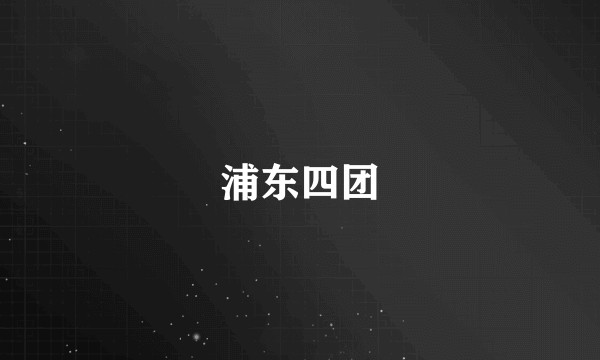 浦东四团