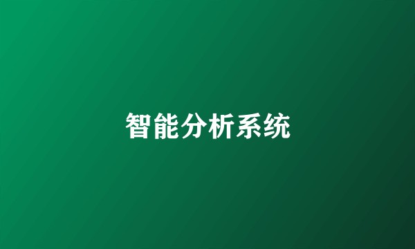 智能分析系统