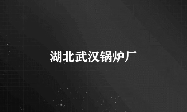 湖北武汉锅炉厂