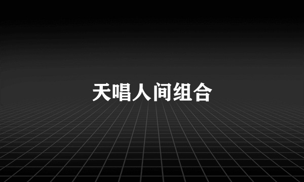 天唱人间组合
