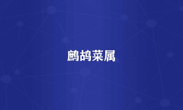 鹧鸪菜属
