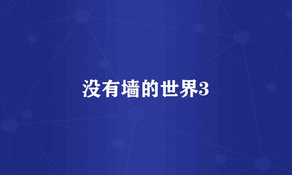 没有墙的世界3