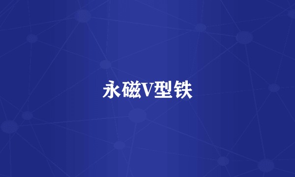 永磁V型铁