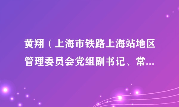 黄翔(上海市铁路上海站地区管理委员会党组副书记、常务副主任)