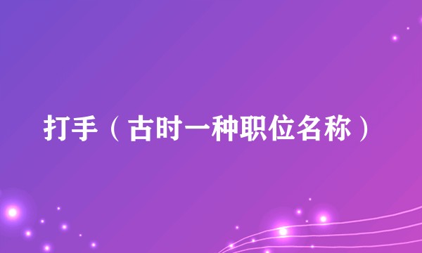 打手（古时一种职位名称）