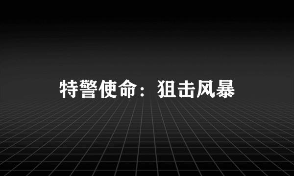 特警使命：狙击风暴