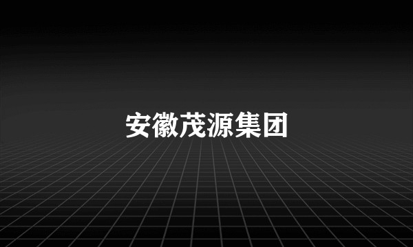 安徽茂源集团