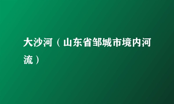大沙河（山东省邹城市境内河流）