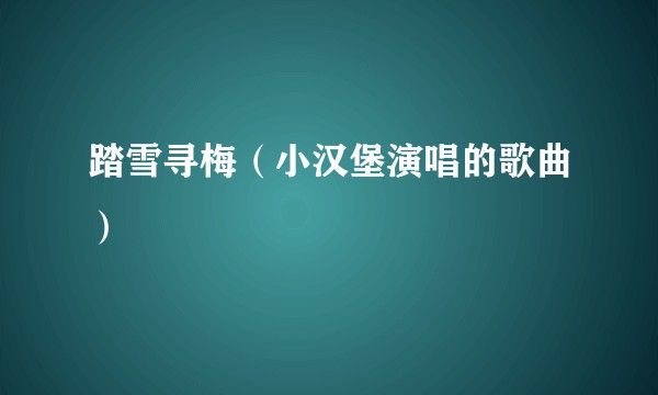 踏雪寻梅（小汉堡演唱的歌曲）