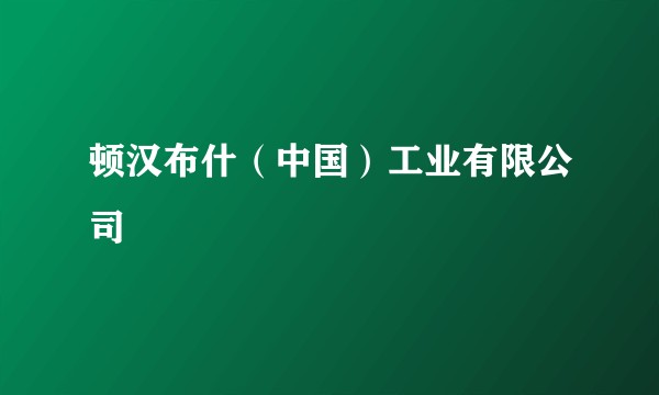 顿汉布什（中国）工业有限公司