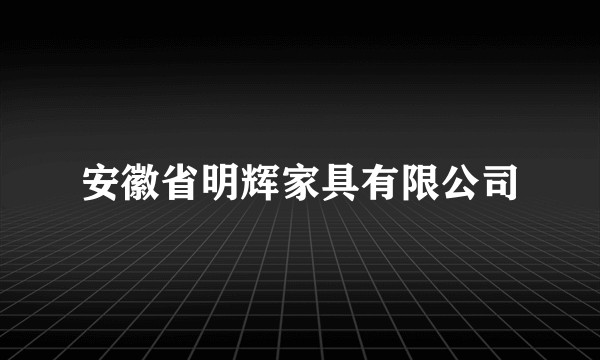 安徽省明辉家具有限公司