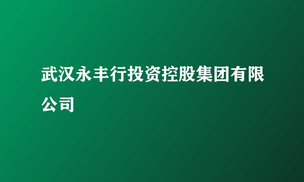 武汉永丰行投资控股集团有限公司