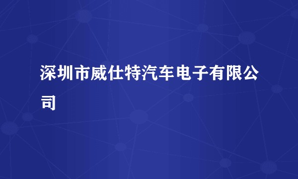 深圳市威仕特汽车电子有限公司