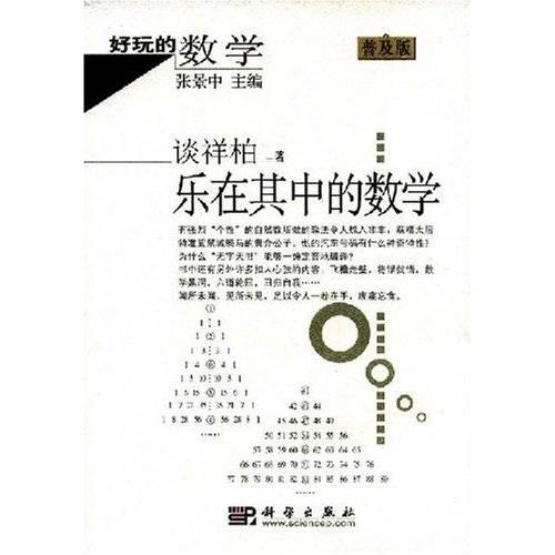好玩的数学：乐在其中的数学