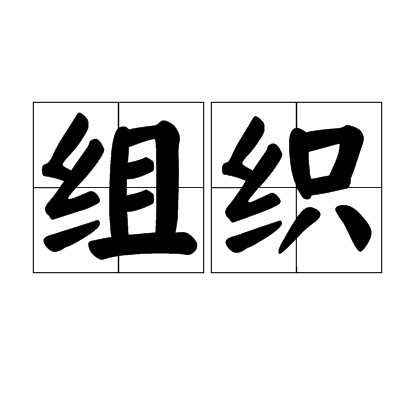 组织(汉语词汇)