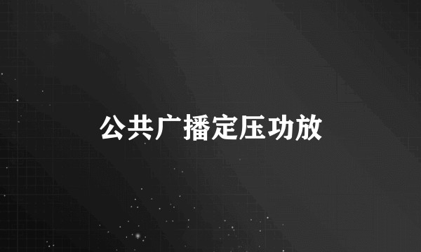 公共广播定压功放