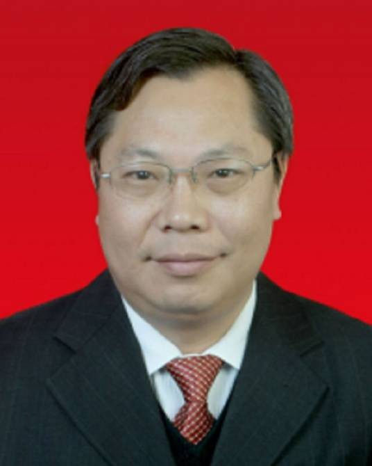 陈光明(湖北省襄阳市谷城县人大常委会主任)
