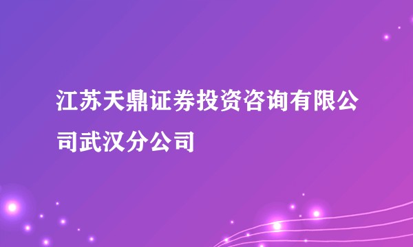 江苏天鼎证券投资咨询有限公司武汉分公司