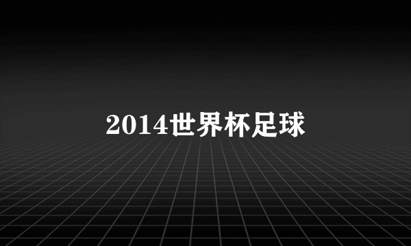 2014世界杯足球