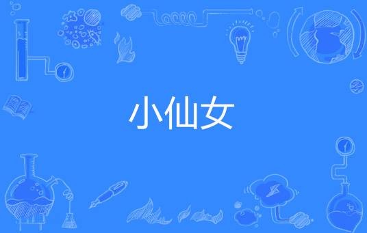 小仙女（网络流行词）