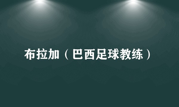 布拉加（巴西足球教练）