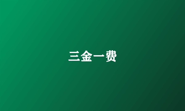 三金一费