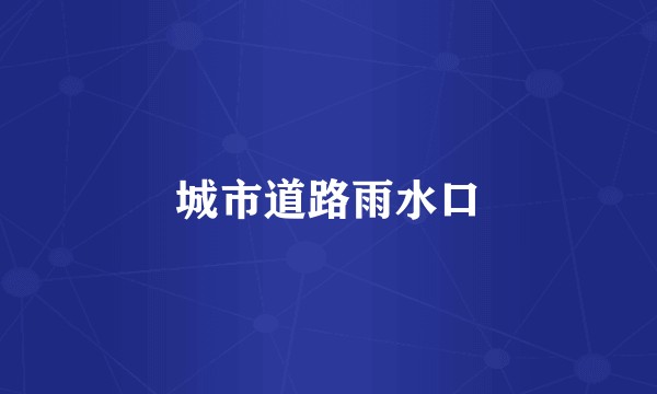 城市道路雨水口