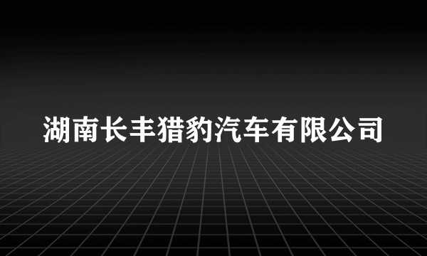 湖南长丰猎豹汽车有限公司