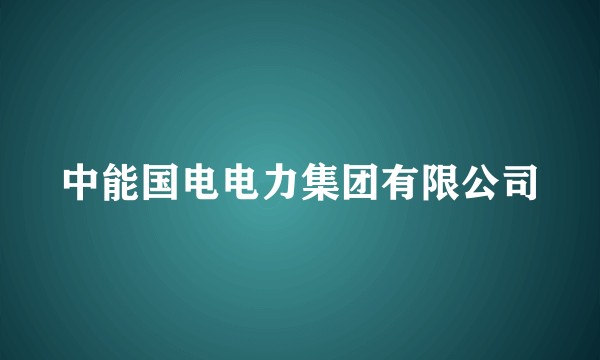 中能国电电力集团有限公司