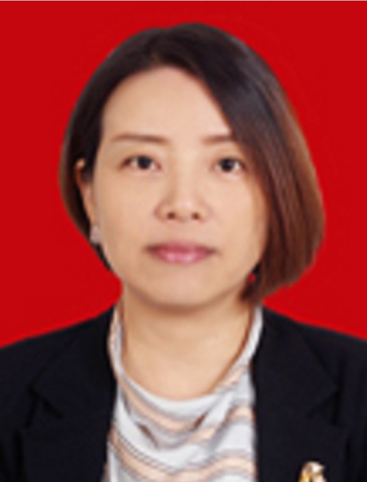 龙梅(广元国有资产监督管理委员会党委专职副书记)