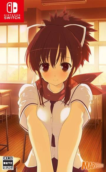 闪乱神乐（Marvelous Entertainment出品的任天堂NS游戏）