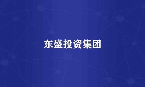 东盛投资集团