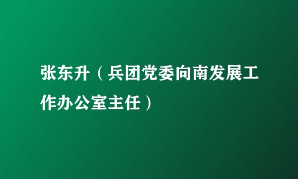 张东升（兵团党委向南发展工作办公室主任）