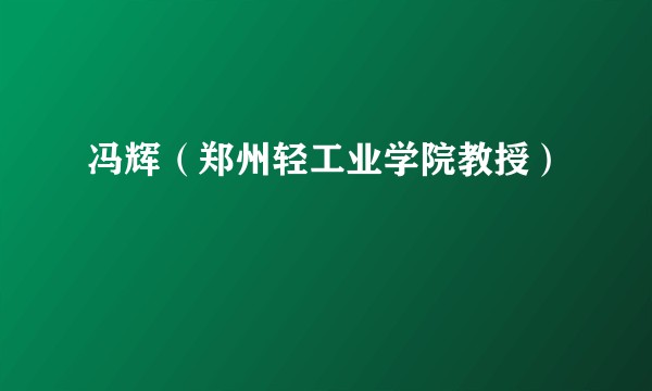 冯辉（郑州轻工业学院教授）