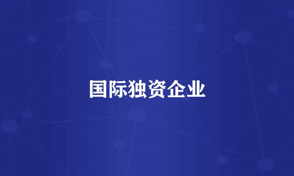 国际独资企业
