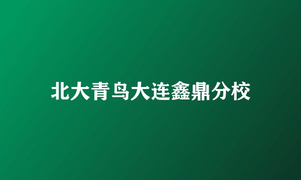 北大青鸟大连鑫鼎分校