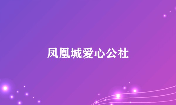 凤凰城爱心公社