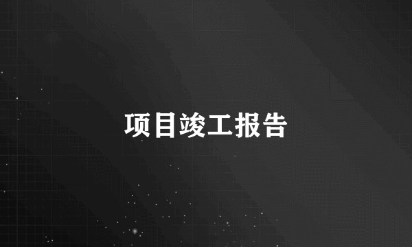 项目竣工报告