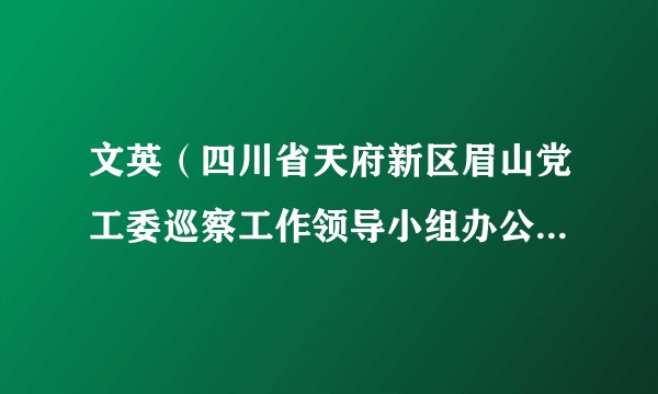 文英（四川省天府新区眉山党工委巡察工作领导小组办公室主任、四级调研员）