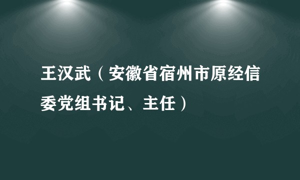 王汉武(安徽省宿州市原经信委党组书记、主任)