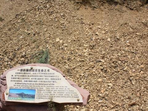 筇竹寺组