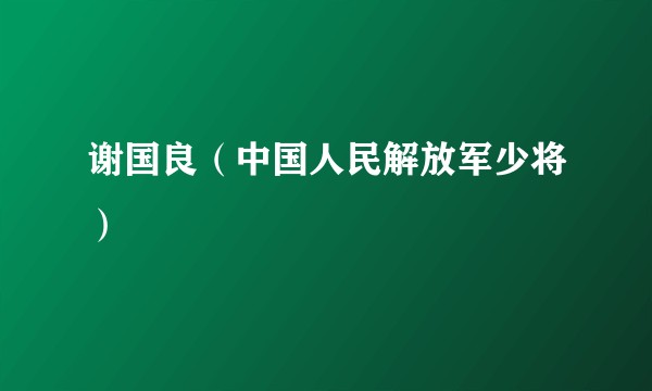 谢国良（中国人民解放军少将）