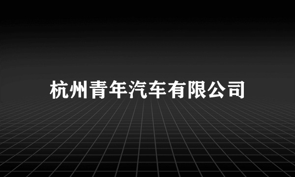 杭州青年汽车有限公司
