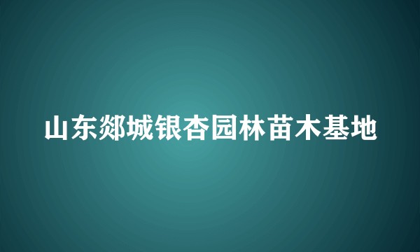 山东郯城银杏园林苗木基地