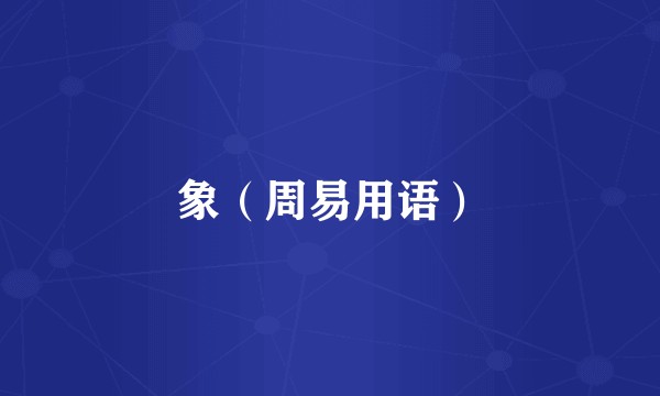 象（周易用语）
