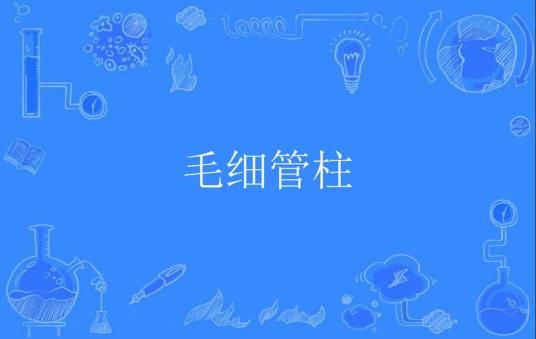 毛细管柱